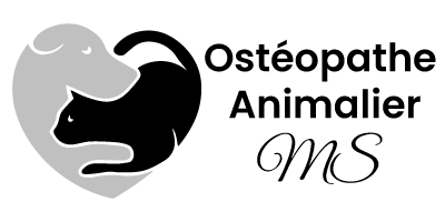 Ostéopathe Animalier MS